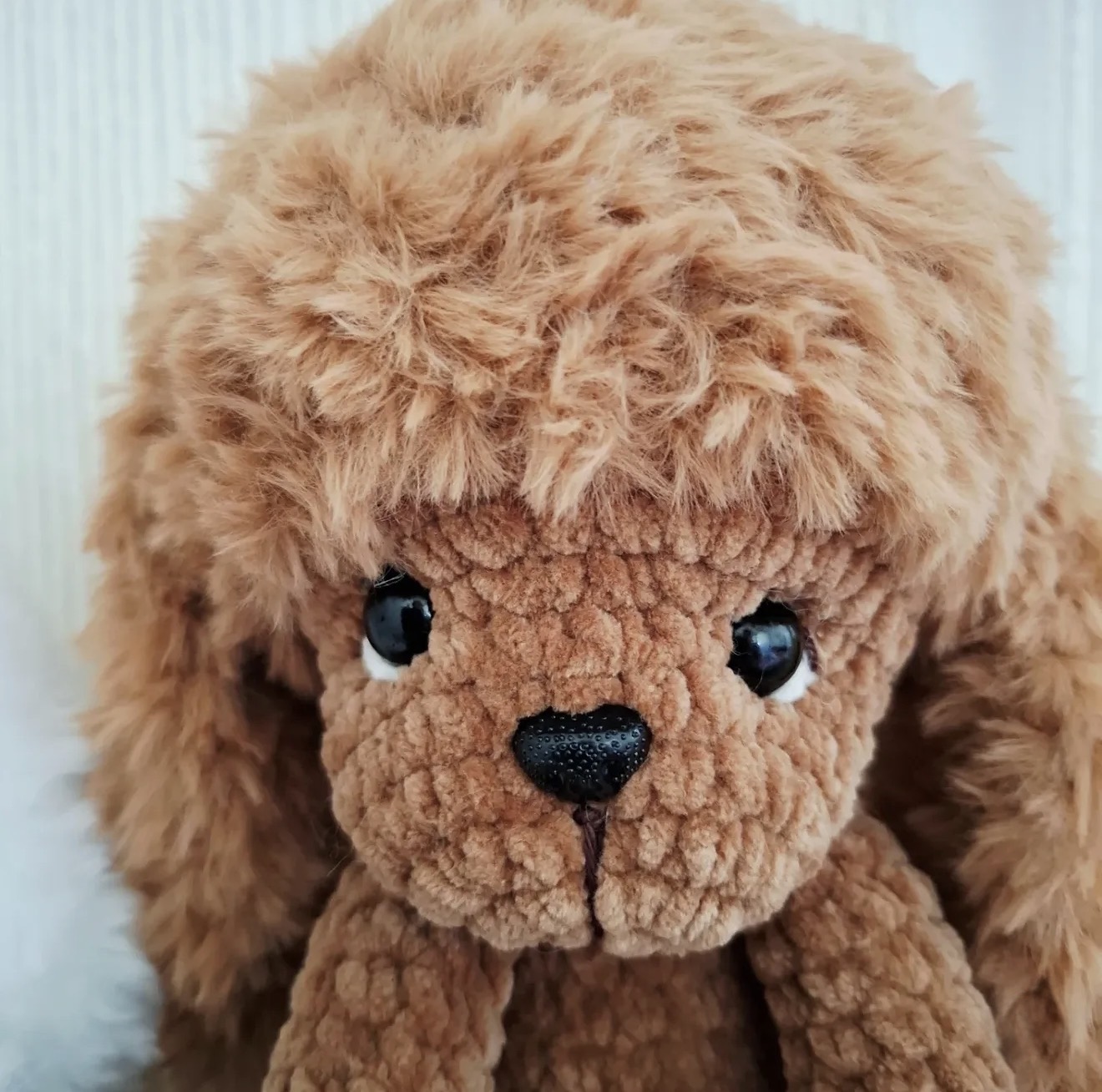 CUTE PUPPY
